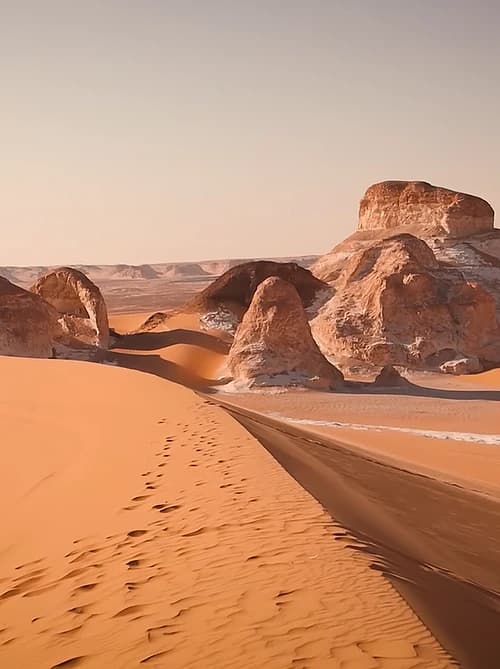 Desert Safari