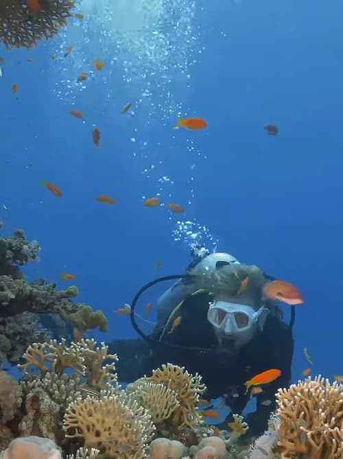Snorkeling & Boat Trip